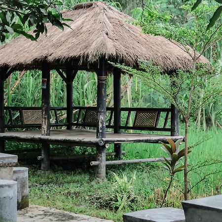 Tiara Homestay Plambi Dış mekan fotoğraf