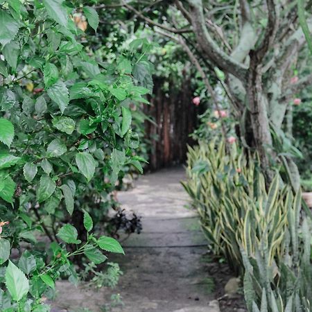 Tiara Homestay Plambi Dış mekan fotoğraf
