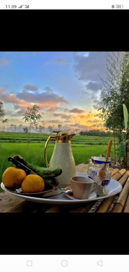 Tiara Homestay Plambi Dış mekan fotoğraf