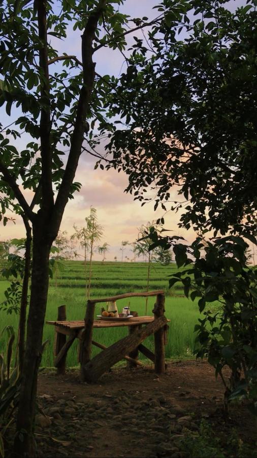 Tiara Homestay Plambi Dış mekan fotoğraf