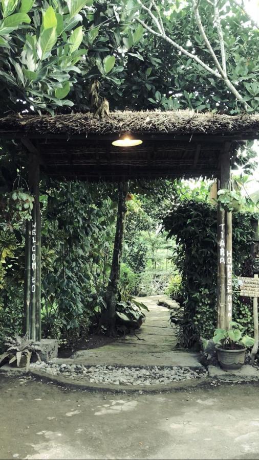 Tiara Homestay Plambi Dış mekan fotoğraf
