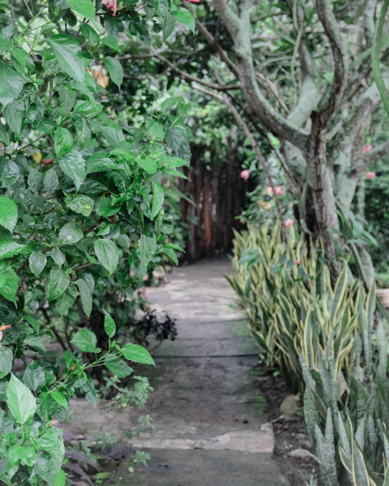 Tiara Homestay Plambi Dış mekan fotoğraf